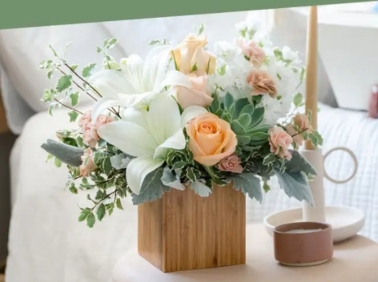 How Different Plants Affect Home Feng Shui: Boost Positive Energy & Harmony (1)