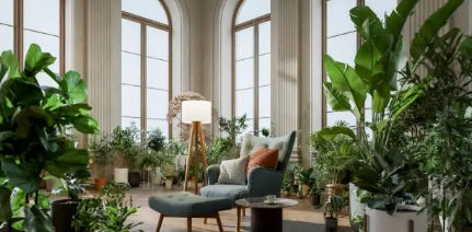 Home Plant Fengshui