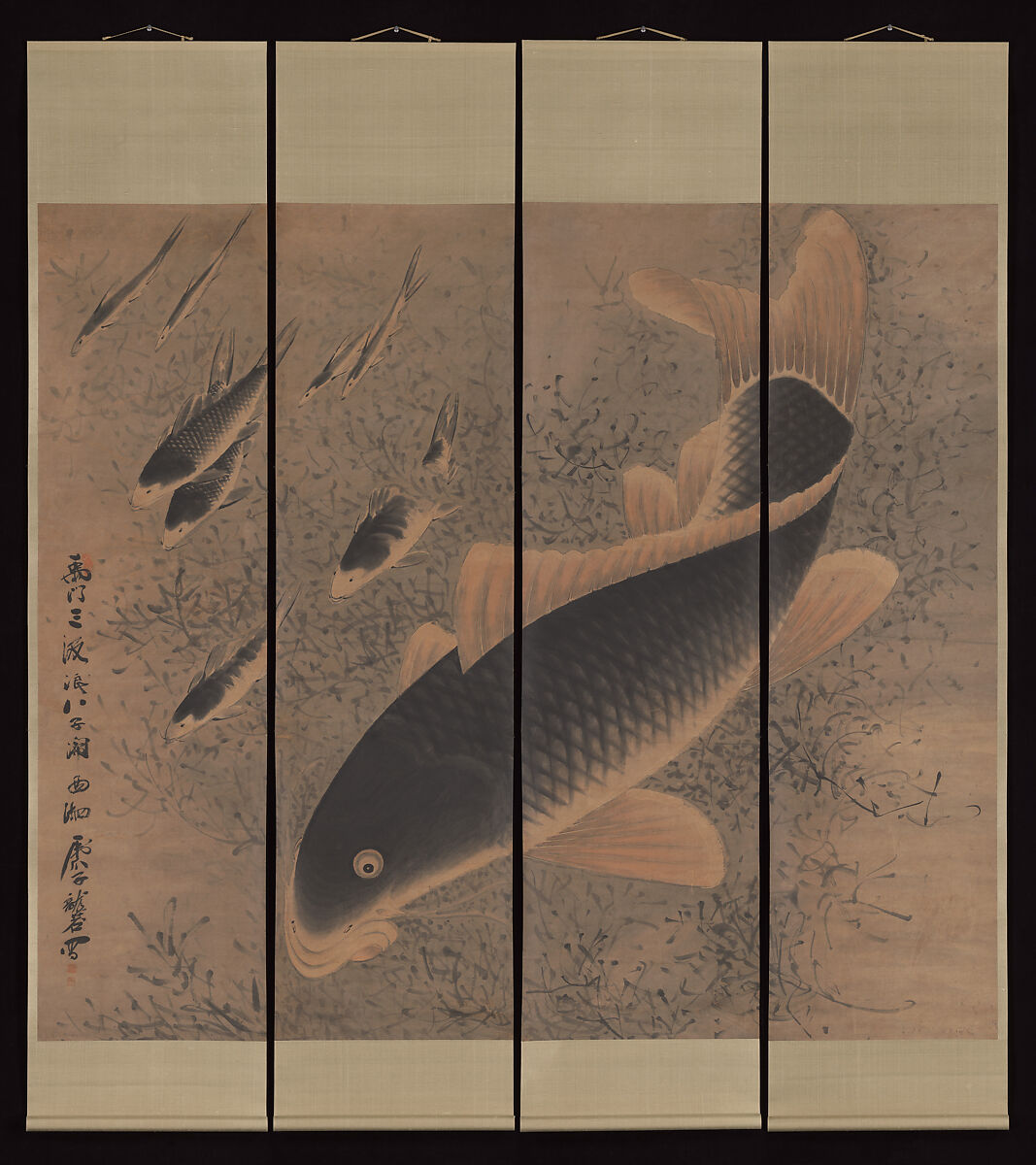 Koi Fish Meaning: The Dragon Gate Story, Perseverance & Transformation