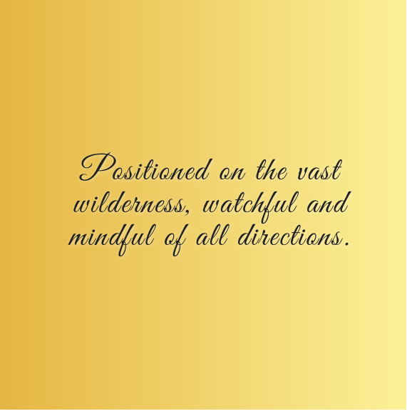 Positioned on the vast wilderness, watchful and mindful of all directions.