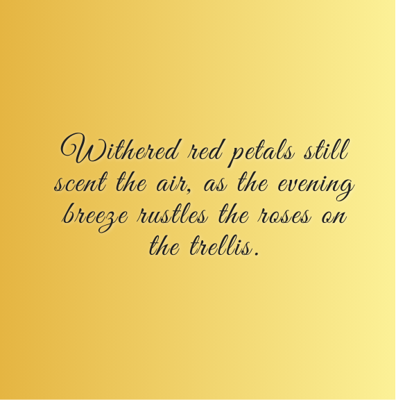 Withered red petals still scent the air, as the evening breeze rustles the roses on the trellis